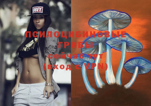 эйфоретик Нефтегорск