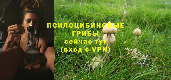 apvp Новозыбков