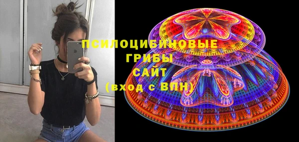гашик Бикин