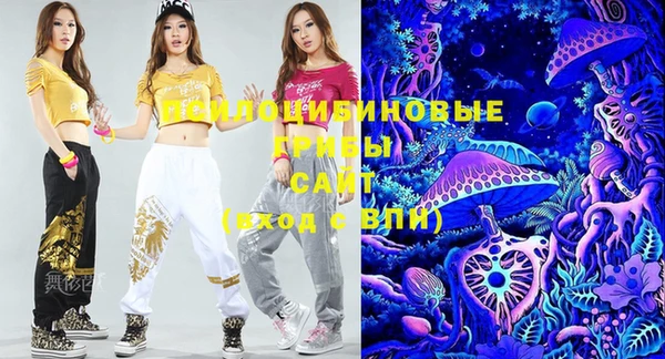 герыч Новодвинск