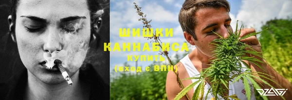 apvp Новозыбков