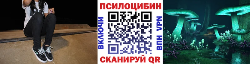 Псилоцибиновые грибы MAGIC MUSHROOMS  hydra как зайти  Углегорск  наркотики 